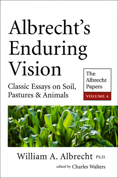 Albrecht's Enduring Vision, Vol. IV