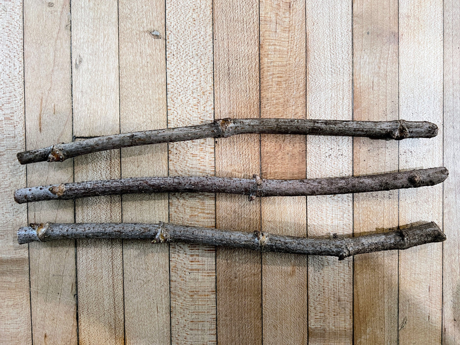 Ranch Elderberry Cuttings
