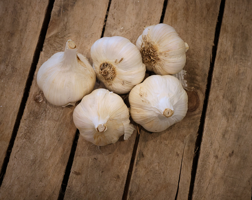 PREORDER German White Garlic