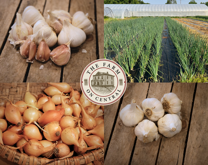 PREORDER Garlic & Onion Combo Kit