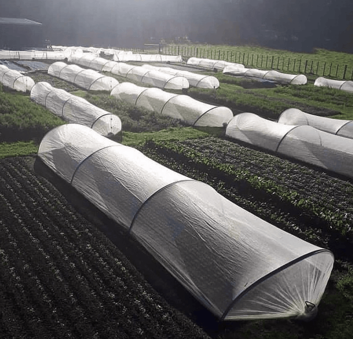 InsectaNet - Insect Protection Netting