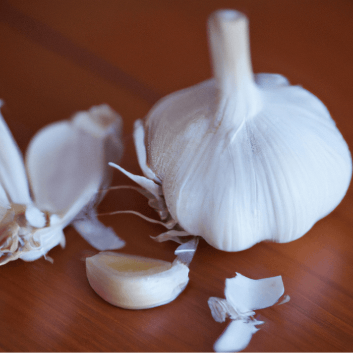 PREORDER Music Garlic (lb)