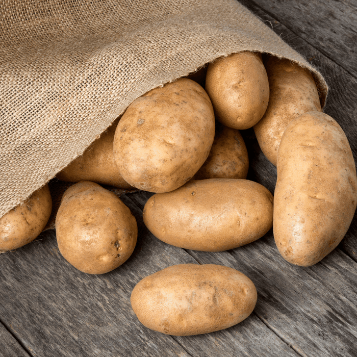 PREORDER Organic Burbank Russet Seed Potato (lb)