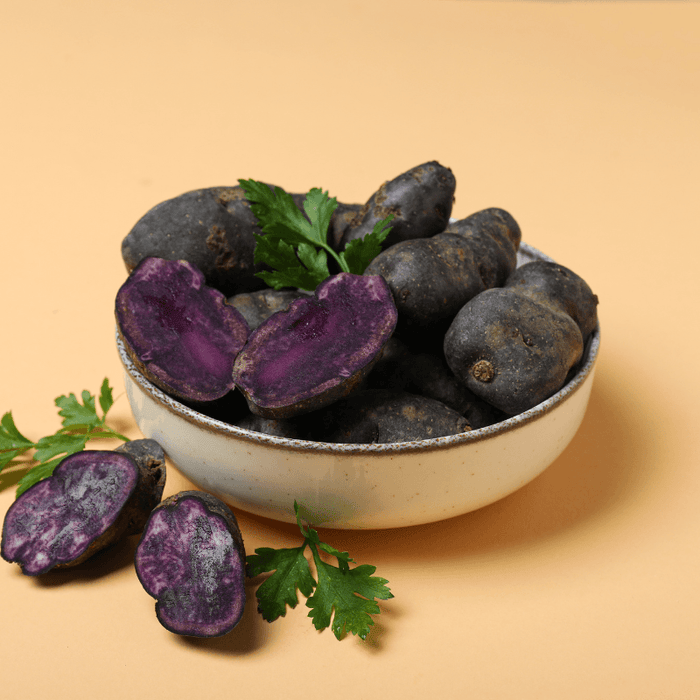 PREORDER Organic Purple Majesty Seed Potato (lb)