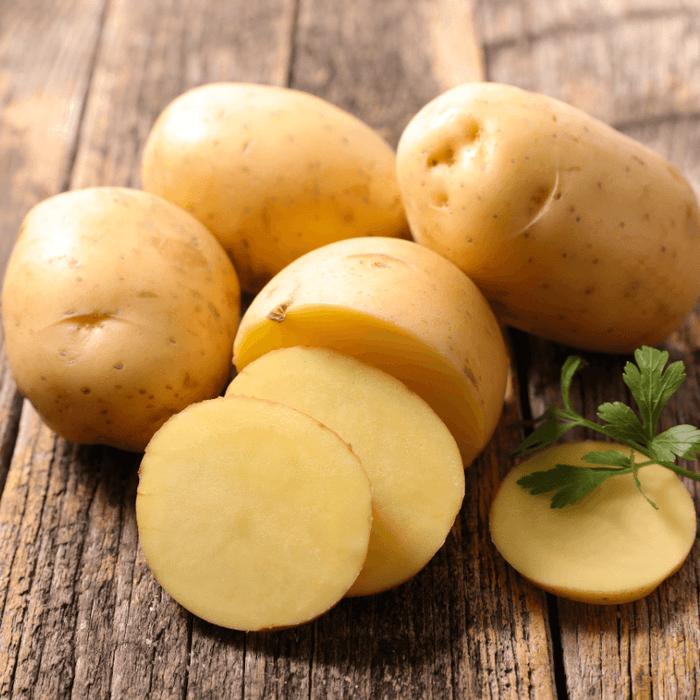PREORDER Organic German Butterball Seed Potato (lb)