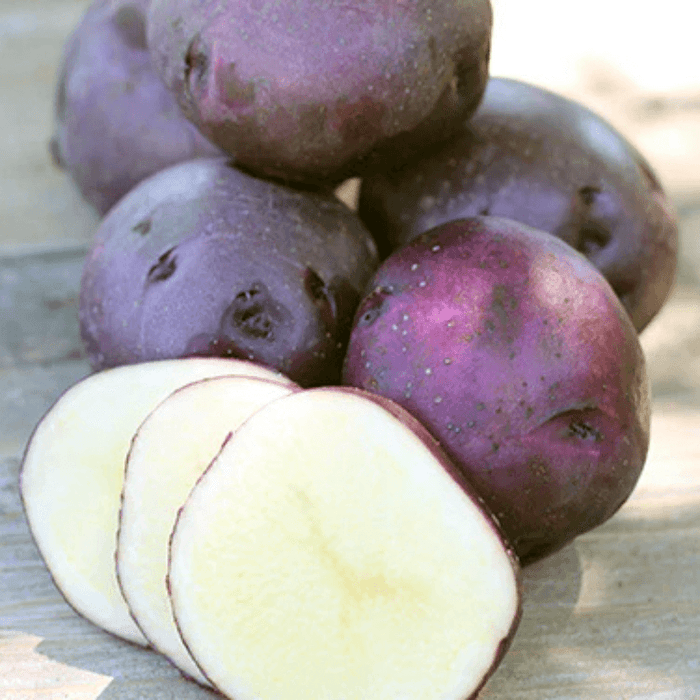 PREORDER Organic Huckleberry Gold Seed Potato (lb)