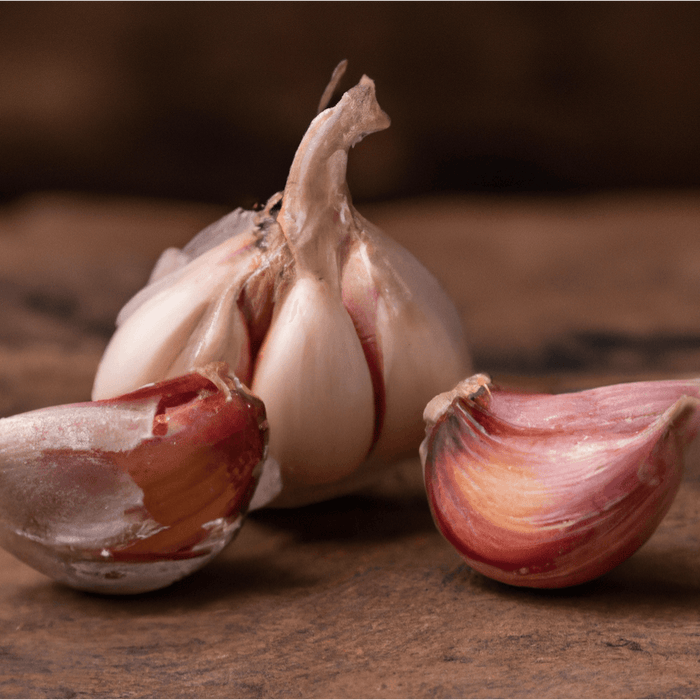 PREORDER Spanish Roja Garlic (lb)