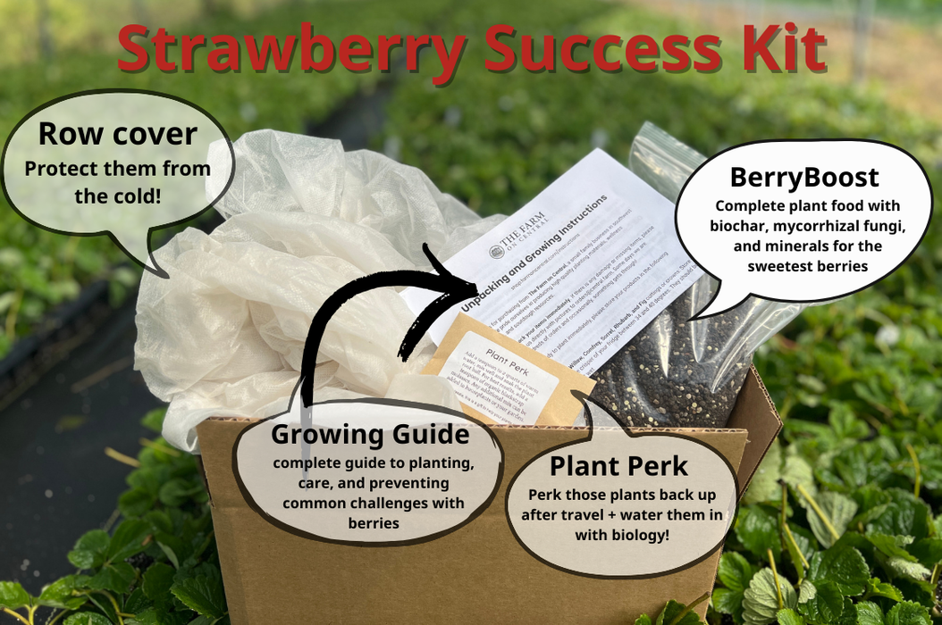 Strawberry Success Kit