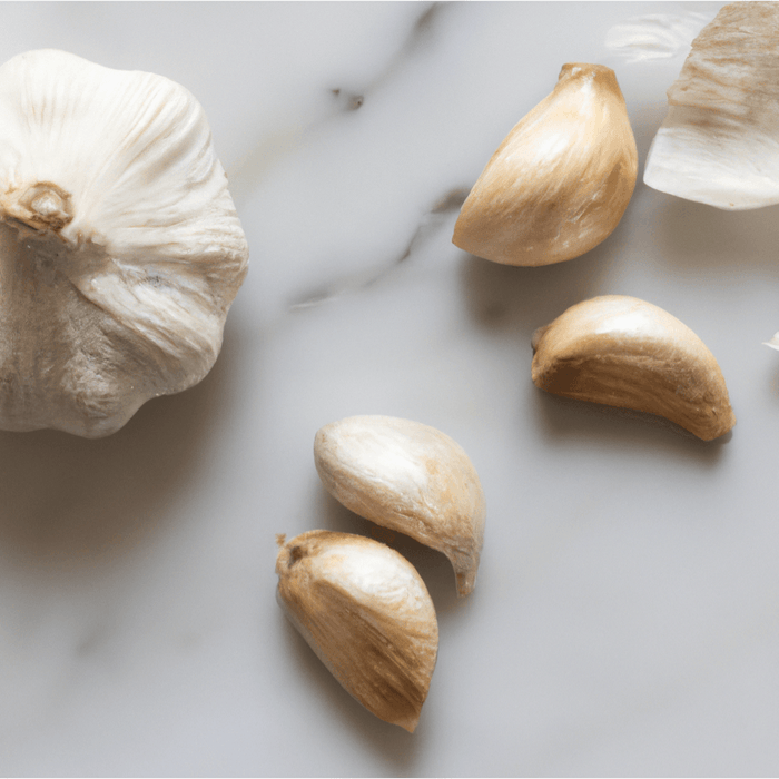 PREORDER California Early White Garlic (lb)