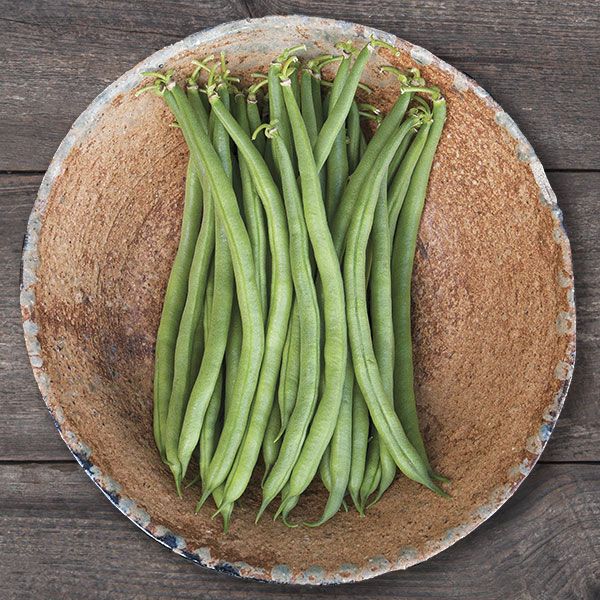 Jade Bush Bean