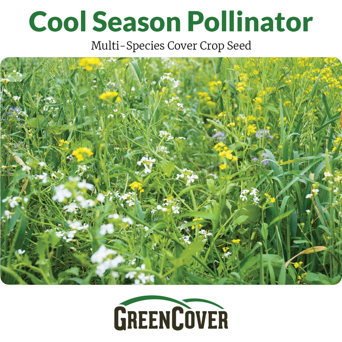 Cool Season Pollinator