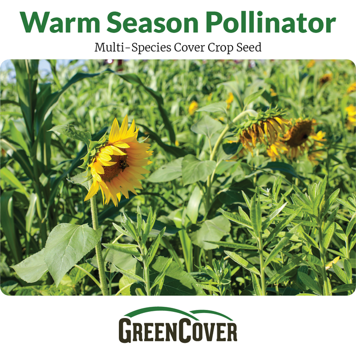 Warm Season Pollinator