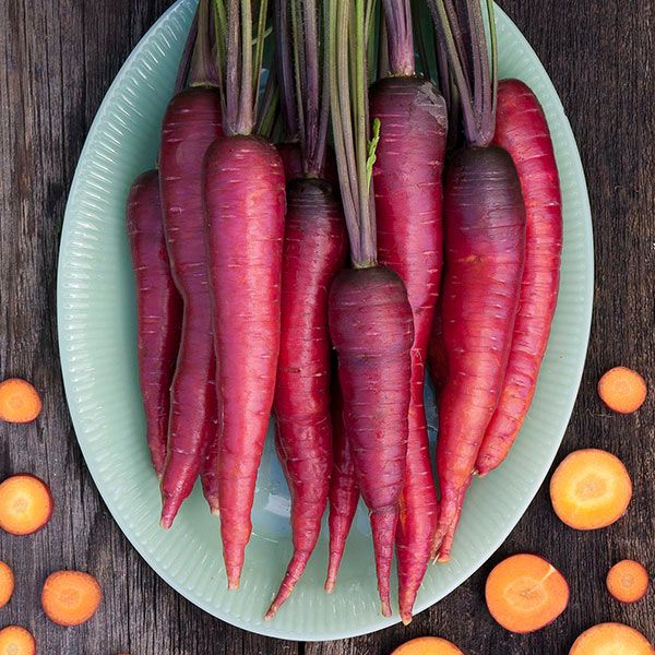 Dragon Carrot