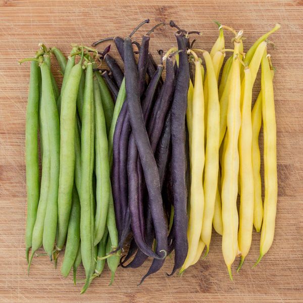 Mardi Gras Bean Blend