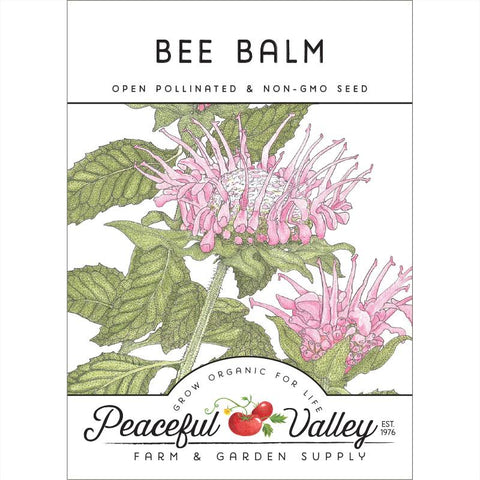 Bee Balm (pack)