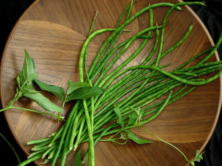 Liana (Yardlong) Bean