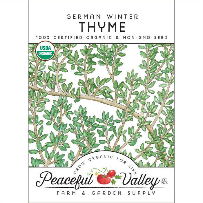 Organic Thyme, German Winter