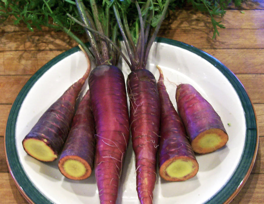 Purple Dragon Carrot