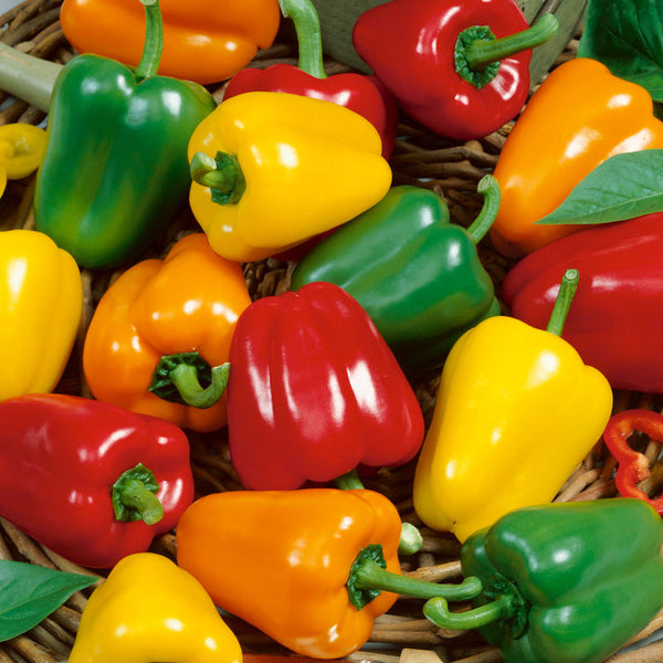 Peppers