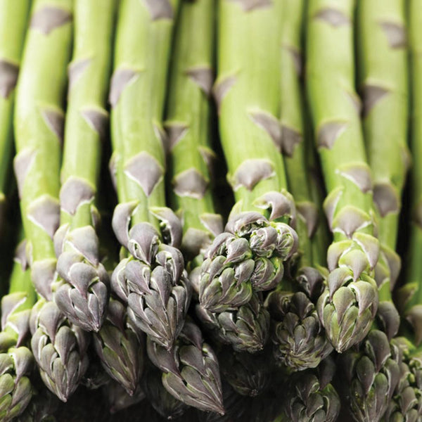 Asparagus