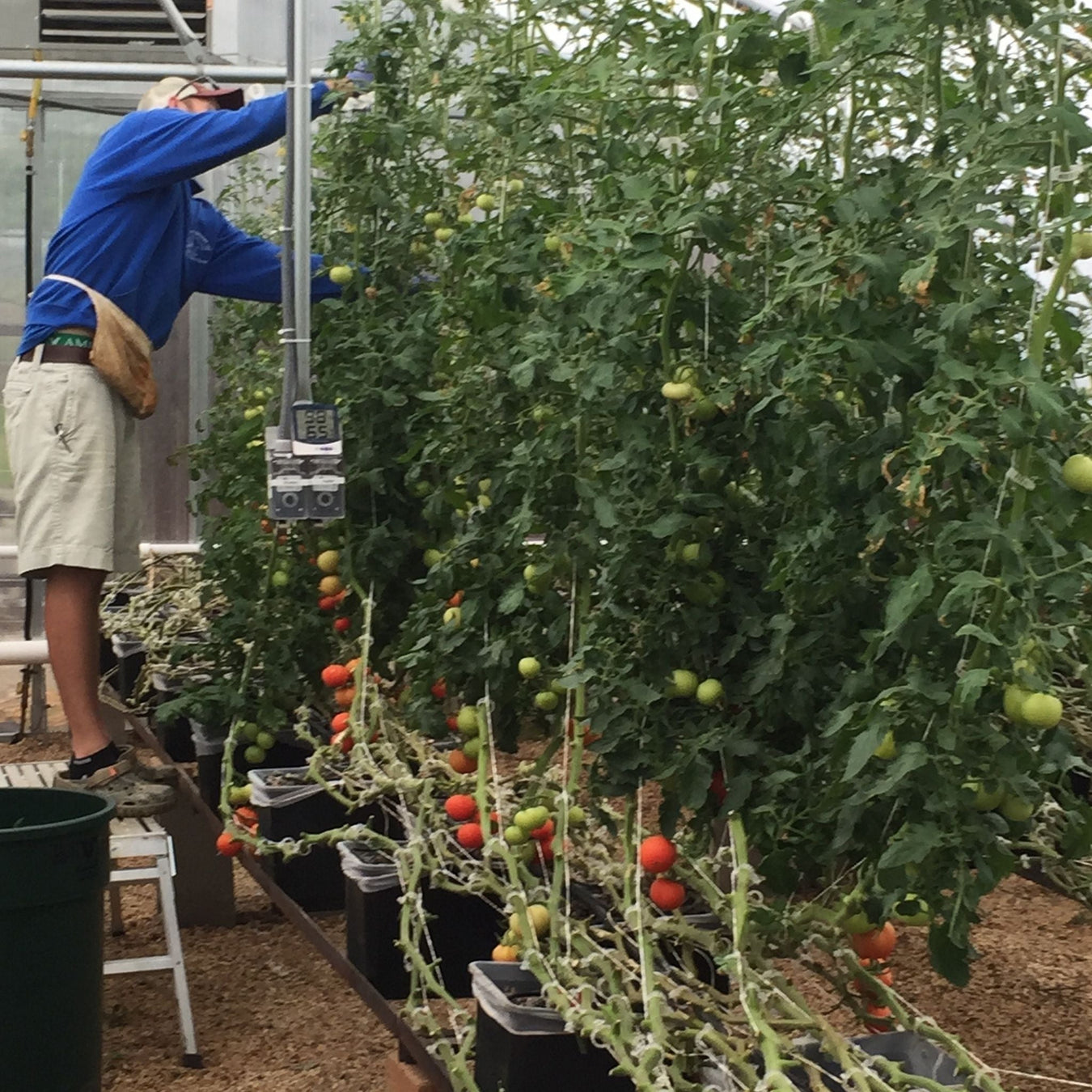 Hydroponic Equipment