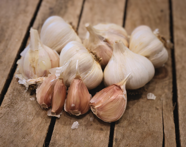 Garlic Bulbs