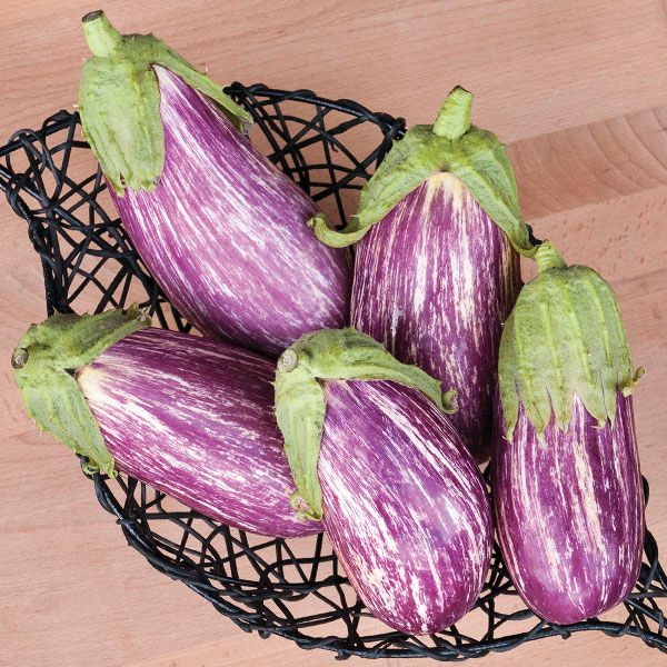 Eggplants
