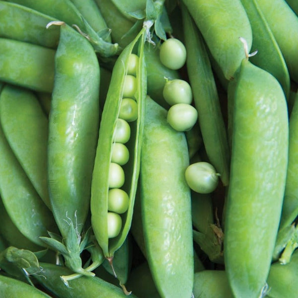 Peas
