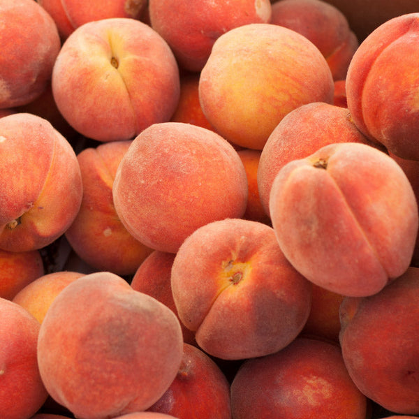 Peach Trees