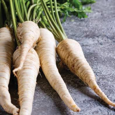 Parsnips
