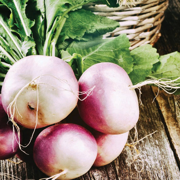 Turnip
