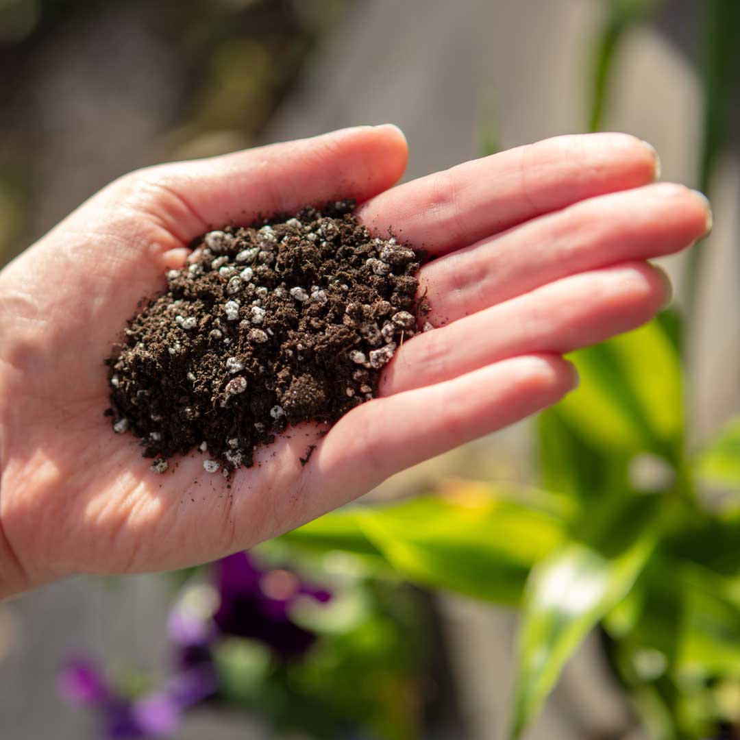 Growing Mediums & Soil