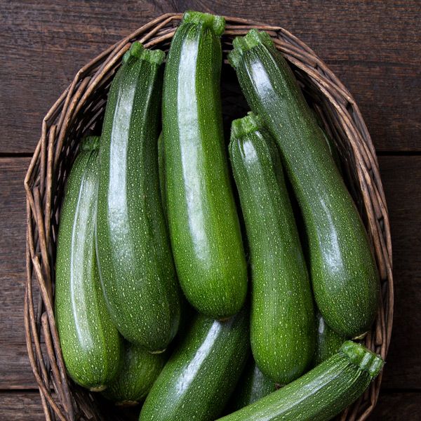 Squash Summer