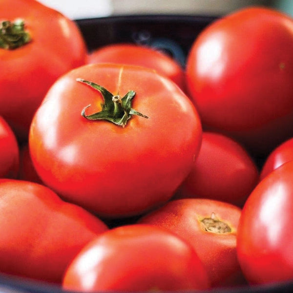 Tomatoes