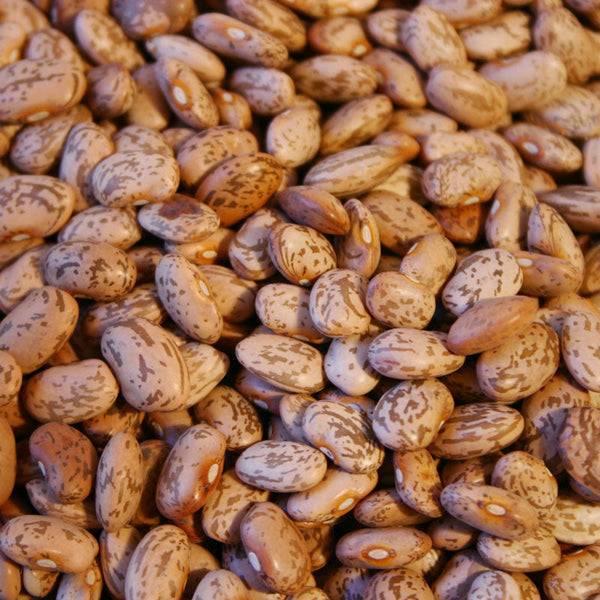 Beans