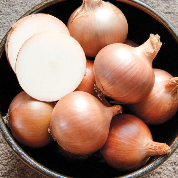 Onions