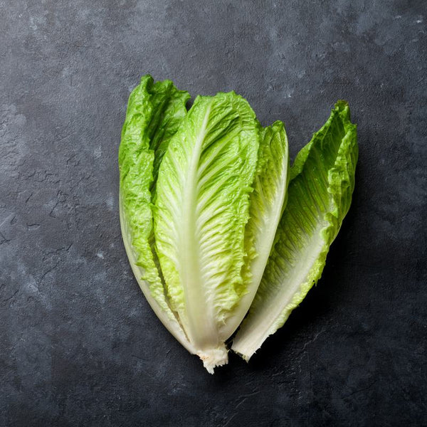 Lettuce