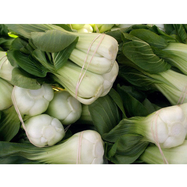 Pak Choi