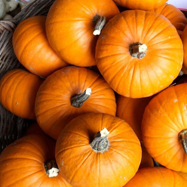 Pumpkins