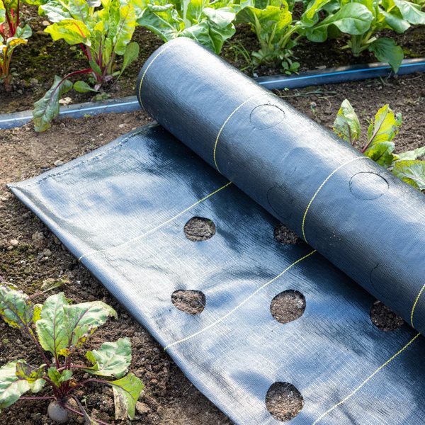 Weed Management