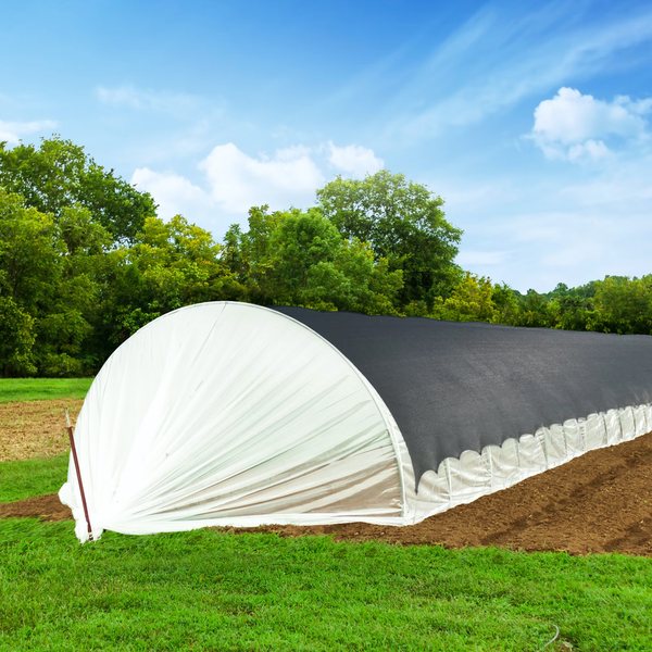 Frost & Sun Protection