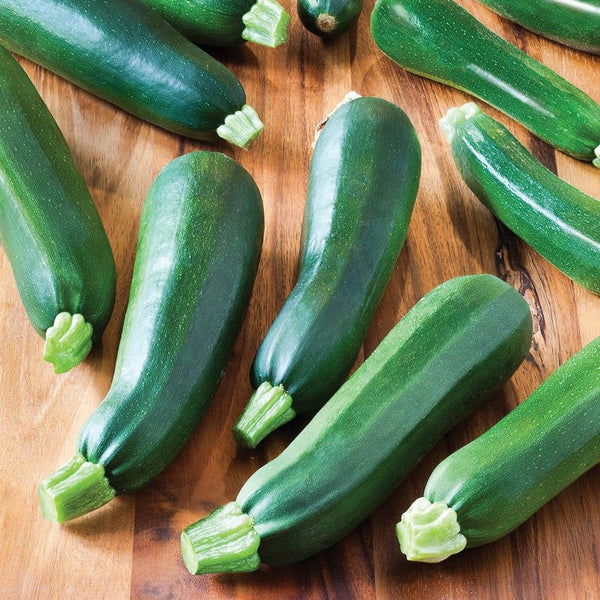 Zucchini