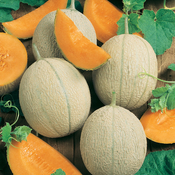 Melons