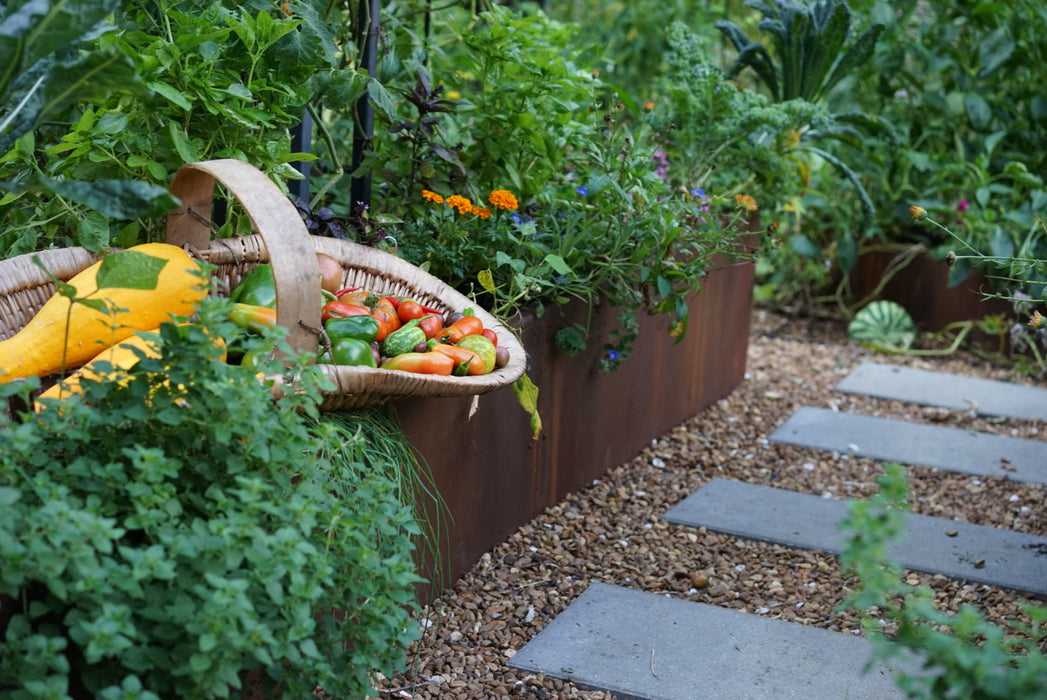 Corten Steel Raised Garden Bed
