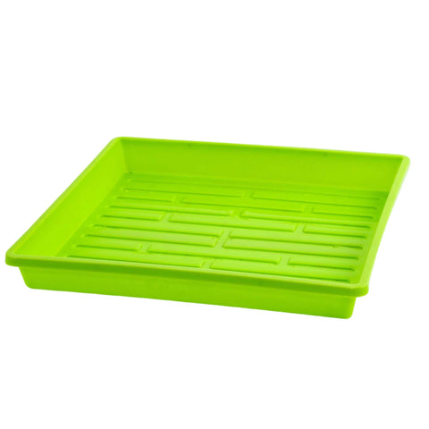 1010 Shallow Seed Trays