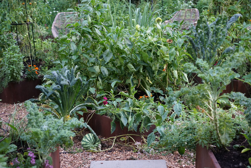 Corten Steel Raised Garden Bed
