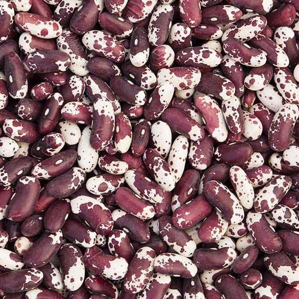 Jacob's Cattle Dry Bean