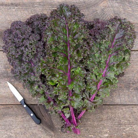 Curly Roja Kale