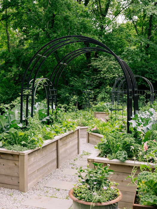 Gardenary Cedar Raised Garden Beds with Trim