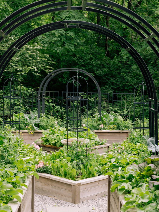 Gardenary Cedar Raised Garden Beds with Trim